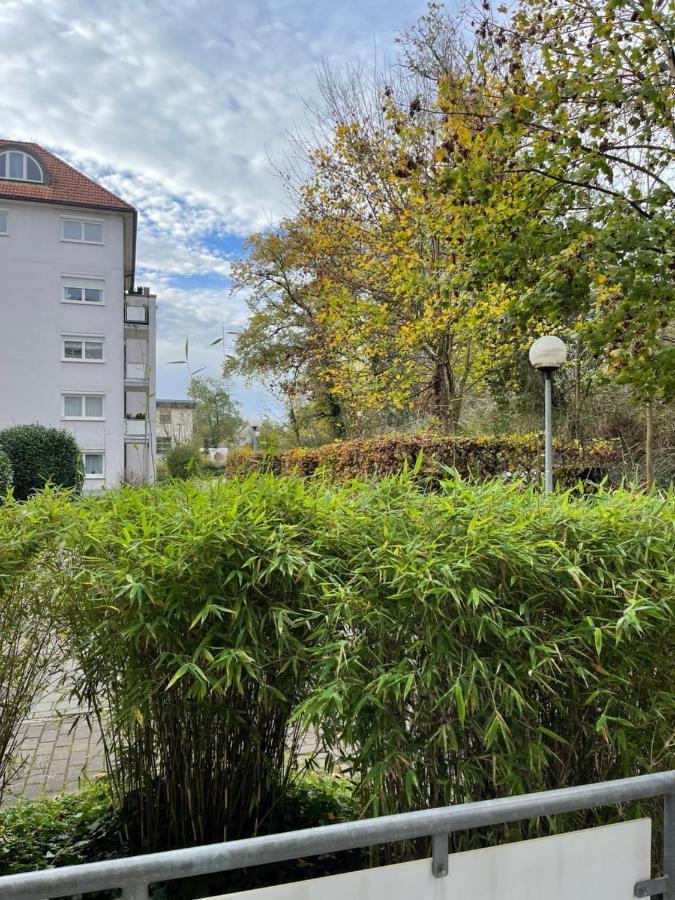 Apartment Rot-Kreuz Bad Säckingen Kültér fotó
